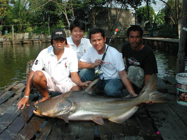 ปลารวม...โดย...ทีมงานบ้าพลัง(POWER CRAZY)