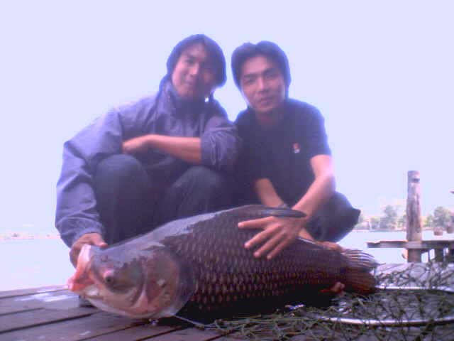 กระโห้ใหญ่โจ้ไร้สาร บึง