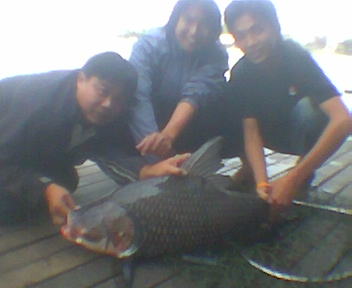 กระโห้ใหญ่โจ้ไร้สาร บึง