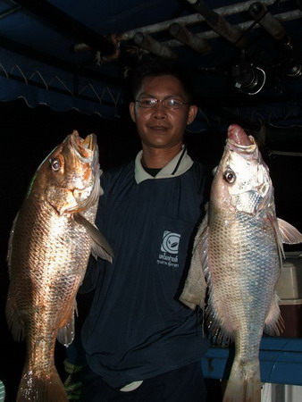 LAT 10  วังมัจฉา  กับขบวนการเก๋าๆ