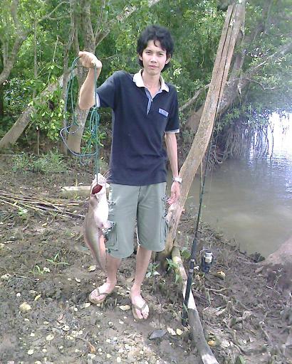 ปลาดุกทะเล ทริพเล็กๆ