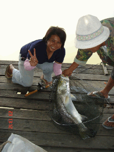 กุ้งยางพารา และตุ้มหูเมีย