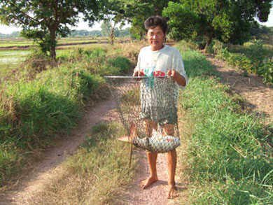 เปิดแล้วบ่อตกปลาหนองหนู อ.เมืองจ.พิจิตร 3-5 มี.ค.