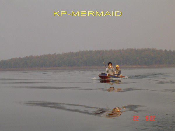 หนาวที่แล้วกับชะโดหนาวๆ kp mermaid