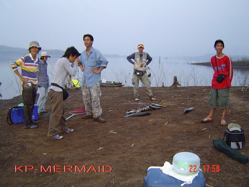 หนาวที่แล้วกับชะโดหนาวๆ kp mermaid