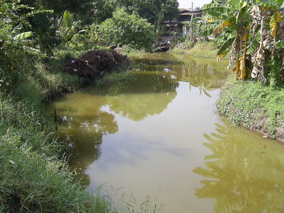 ส่งท้ายปีเก่า