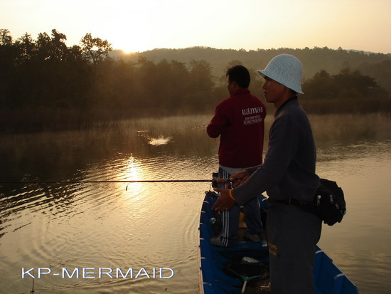 กระสูบ 5 กิโลที่แพ kp mermaid ส่งท้ายปี 2006