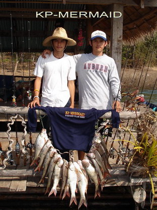 ต้อนรับปี 2007 กับกระสูบฝูงบ้า  kp mermaid