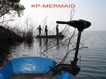 ต้อนรับปี 2007 กับกระสูบฝูงบ้า  kp mermaid