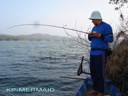 ต้อนรับปี 2007 กับกระสูบฝูงบ้า  kp mermaid