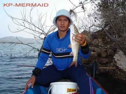 ต้อนรับปี 2007 กับกระสูบฝูงบ้า  kp mermaid