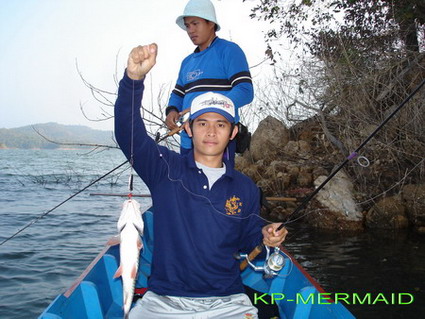 ต้อนรับปี 2007 กับกระสูบฝูงบ้า  kp mermaid