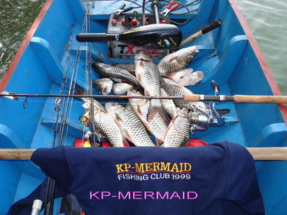 ต้อนรับปี 2007 กับกระสูบฝูงบ้า  kp mermaid