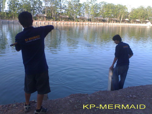 วันที่รอคอย....kp_mermaid