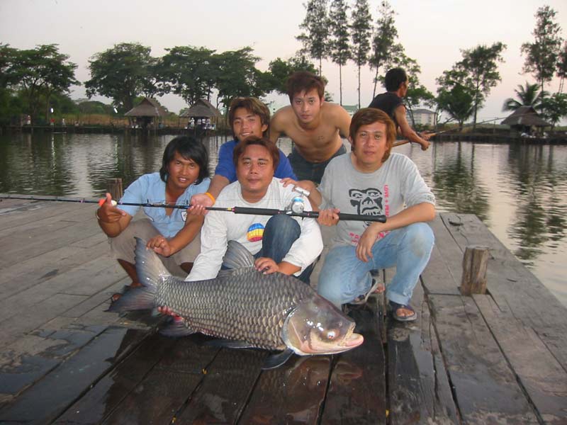 กระโห้บ้านตะเพียนทองครับ
