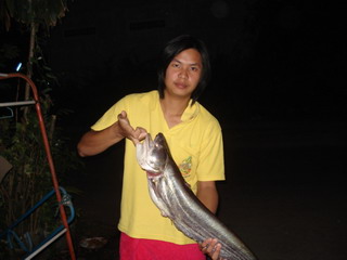 เค้าตัวน้อยๆ