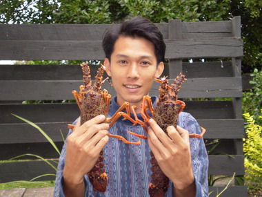 เจอมังกรโดยบังเอิญที่ New Zealand