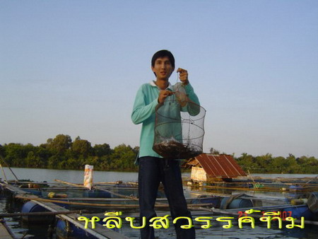 กะชังปลาริมแม่น้ำมูล