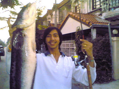 ชะโดใหญ่.....เมืองเพชรบุรี