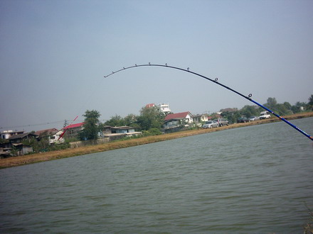 สปิ๋วบ่อ Lures  มันส์ได้ใจ