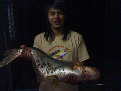 หนีปลาเกล็ดมาเด็ดปลาหนัง