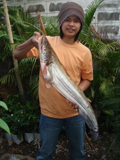 ปลาเค้าแม่น้ำปราจีนบุรี