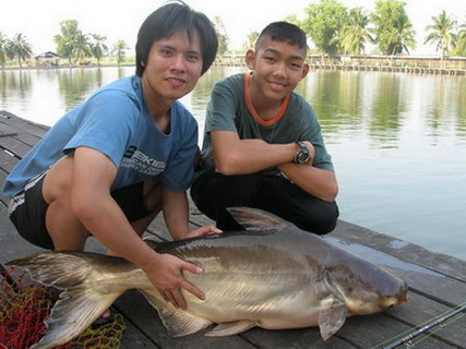 บึก@บึงขวาง