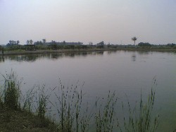 บ่อตกปลาบึก บ้านบ่อโชค  นครปฐม