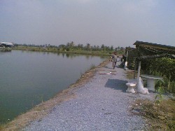 บ่อตกปลาบึก บ้านบ่อโชค  นครปฐม