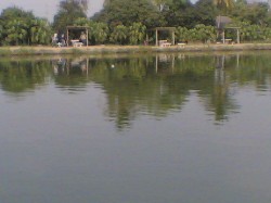 บ่อตกปลาบึก บ้านบ่อโชค  นครปฐม