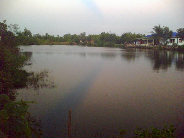 รายงานผลจากการไปวังกุ้งครับบบบบ