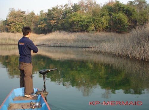 ตรุษจีน รับอั่งเปา ที่แพkp_mermaid