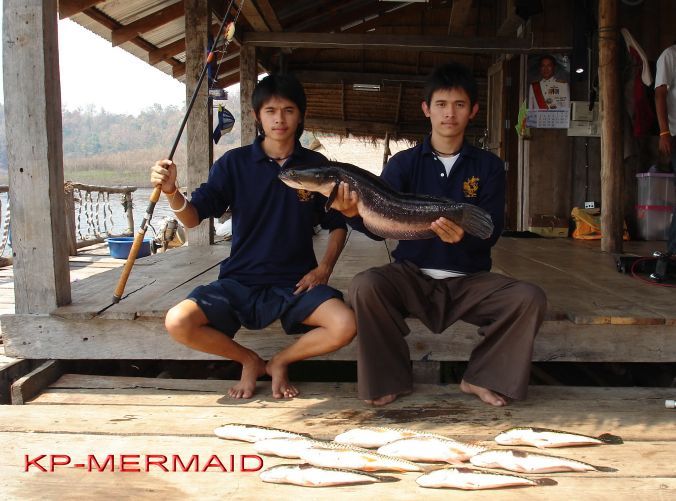 ตรุษจีน รับอั่งเปา ที่แพkp_mermaid