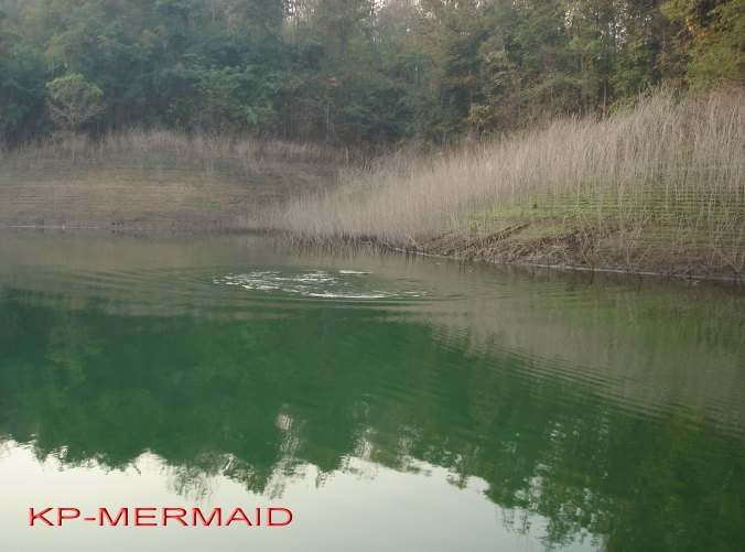 ตรุษจีน รับอั่งเปา ที่แพkp_mermaid