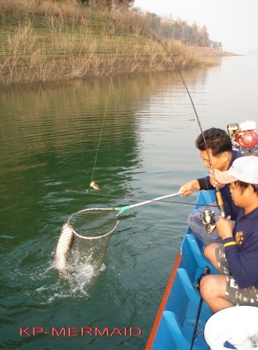 ตรุษจีน รับอั่งเปา ที่แพkp_mermaid