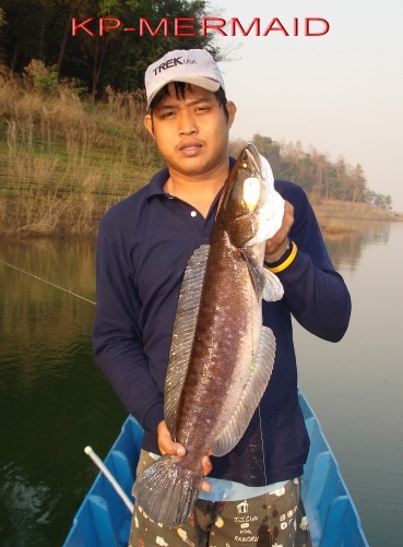 ตรุษจีน รับอั่งเปา ที่แพkp_mermaid