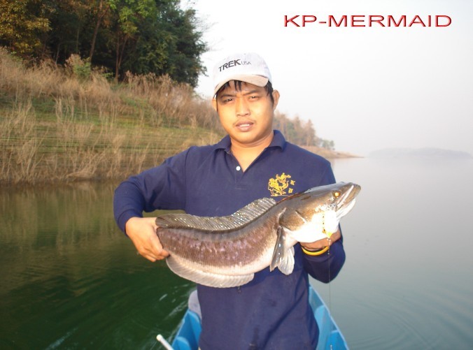 ตรุษจีน รับอั่งเปา ที่แพkp_mermaid