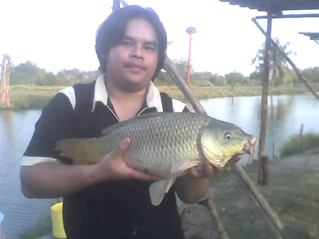 บ่อตกปลา สวนมะพร้าวครับ  มีนบุรี คู้ซ้าย