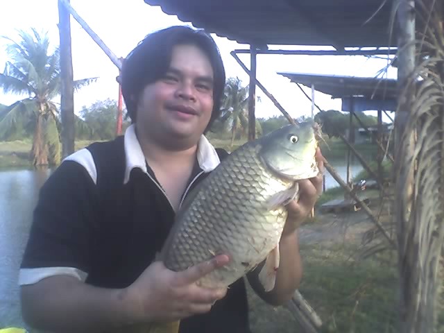 บ่อตกปลา สวนมะพร้าวครับ  มีนบุรี คู้ซ้าย