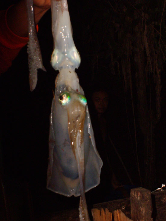 ทริปสบายๆ ในการไปปฏิบัติหน้าที่ ก.ขาม