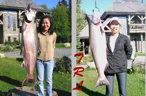 ตกปลา King salmon ที่อลาสก้า