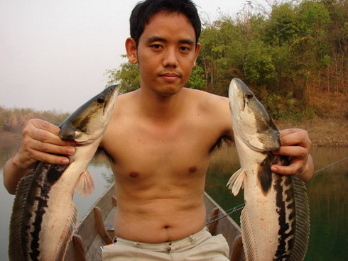 ฉายเดี่ยวที่ " ซองกาเลีย " ( ชนแดนฟิชชิ่งทีม )