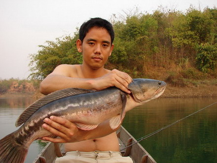 ฉายเดี่ยวที่ " ซองกาเลีย " ( ชนแดนฟิชชิ่งทีม )