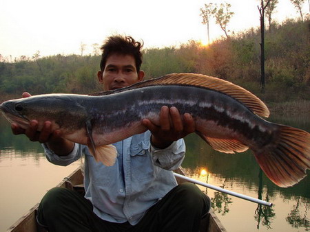 ฉายเดี่ยวที่ " ซองกาเลีย " ( ชนแดนฟิชชิ่งทีม )