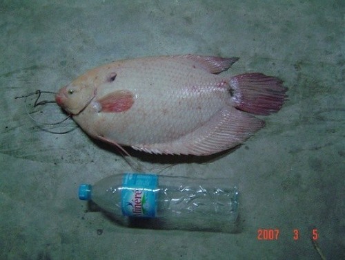 โอกาสเพียงเสี้ยววินาที
