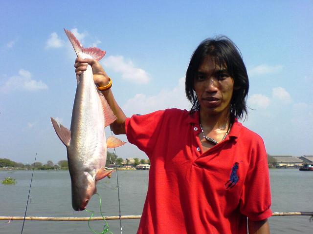 สวาย หมาย ธรรมชาติ