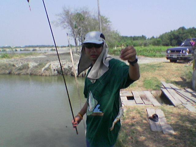 ตกปลาในวังกุ้ง (อีกง,กระพงหิน)