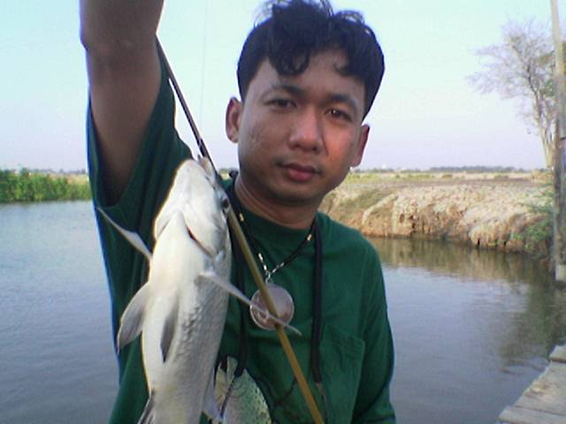 ตกปลาในวังกุ้ง (อีกง,กระพงหิน)