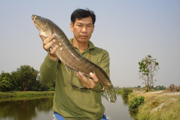 ตลาดนัดวันอาทิตย์(วังกุ้ง)