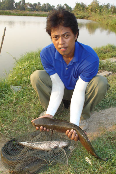 ตลาดนัดวันอาทิตย์(วังกุ้ง)